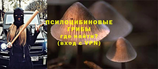 кокс Богородицк