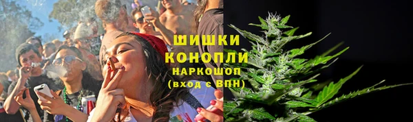 скорость Бородино