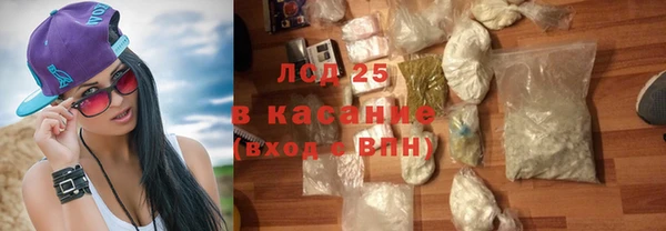 ГАЛЛЮЦИНОГЕННЫЕ ГРИБЫ Рославль