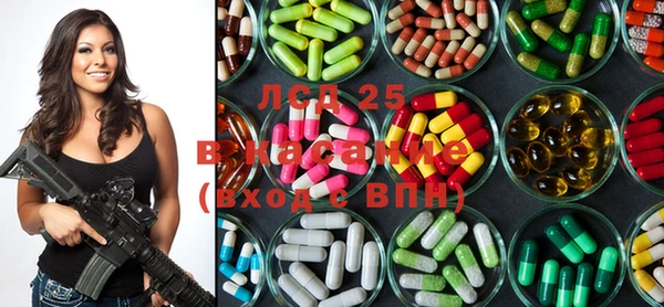 ГАЛЛЮЦИНОГЕННЫЕ ГРИБЫ Рославль